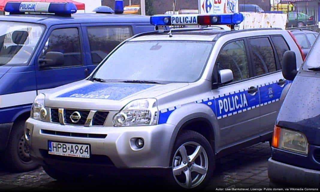 Namysłowscy policjanci wsparli interwencję w sprawie potrąconego jelenia